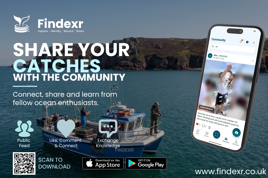 Share Your Catches with the Community