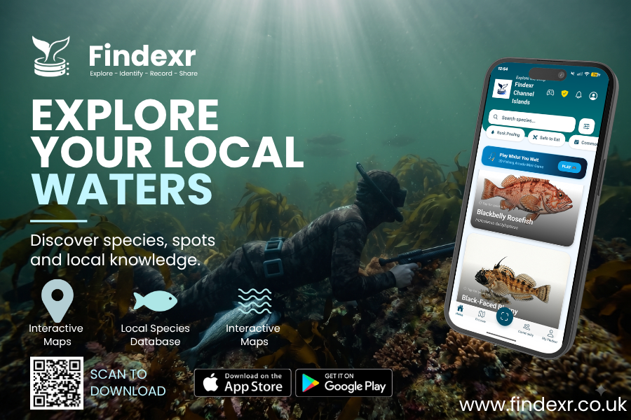 Explore Your Local Waters